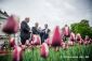 Krst odrody tulipánov „Slovensko“
