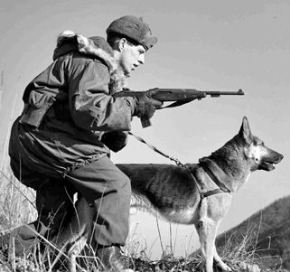 scout dog team in the korean war