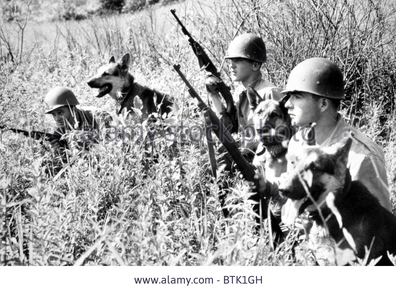 korean-war-soldiers-with-dogs